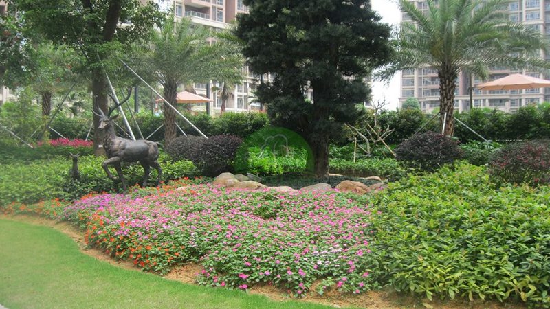苗木种植深度规范2025：深度解析与标准解读**