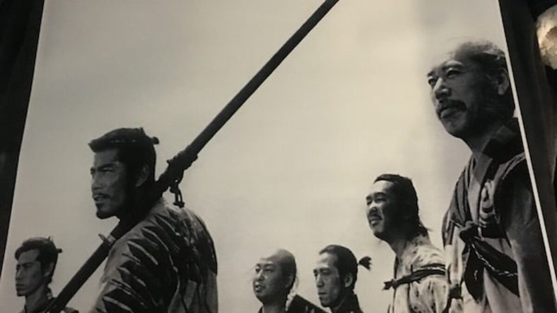 苗木种植间距与密度：如何平衡美观与生态效益**