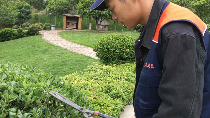 小区绿化工程报价明细表：揭秘报价背后的关键因素**