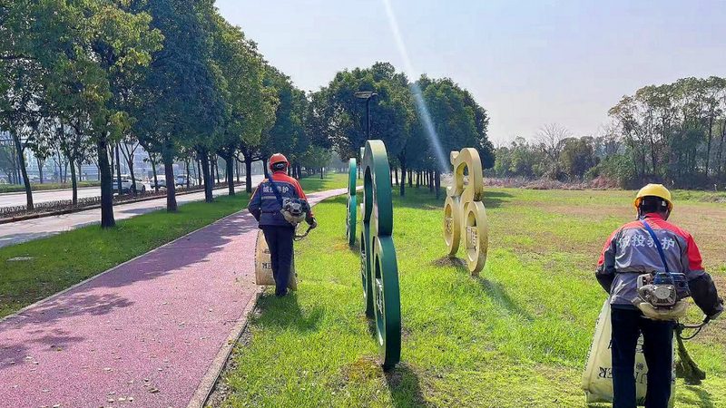 别墅庭院绿化预算怎么做：关键因素与合理规划