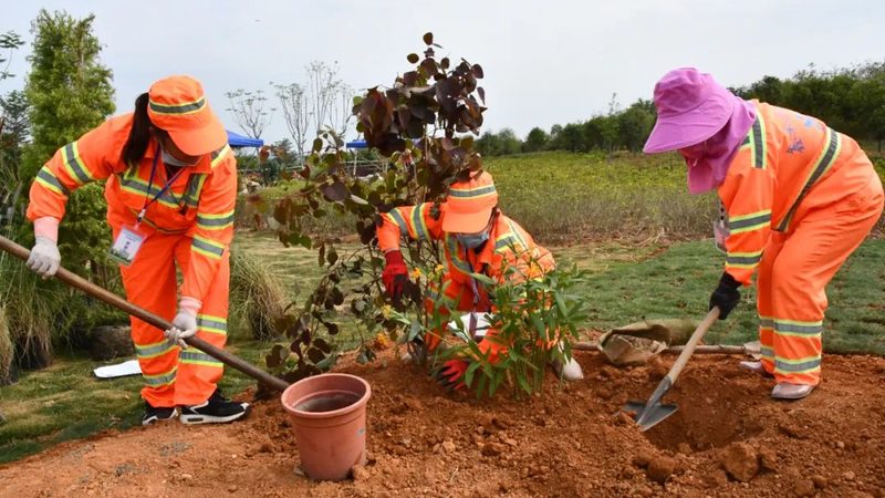 园林绿化养护管理手册编写的五大关键步骤**