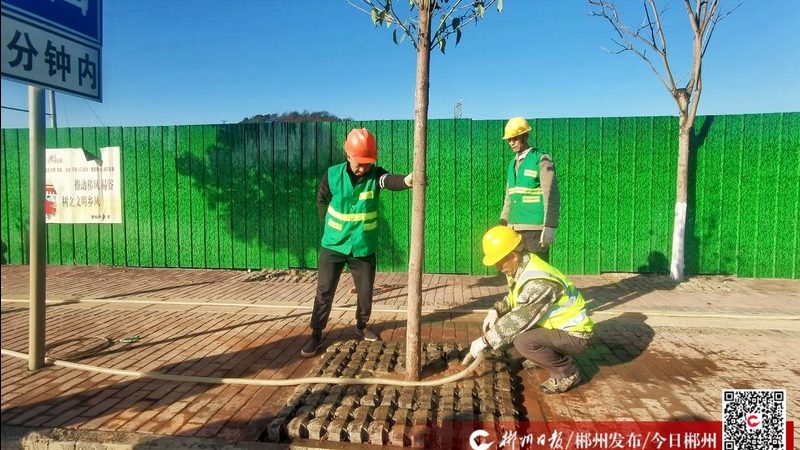 小区绿化报价清单，如何解读其背后的秘密？**