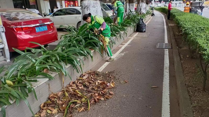 写字楼绿植租摆的价格并非一成不变，它由以下几个因素构成：