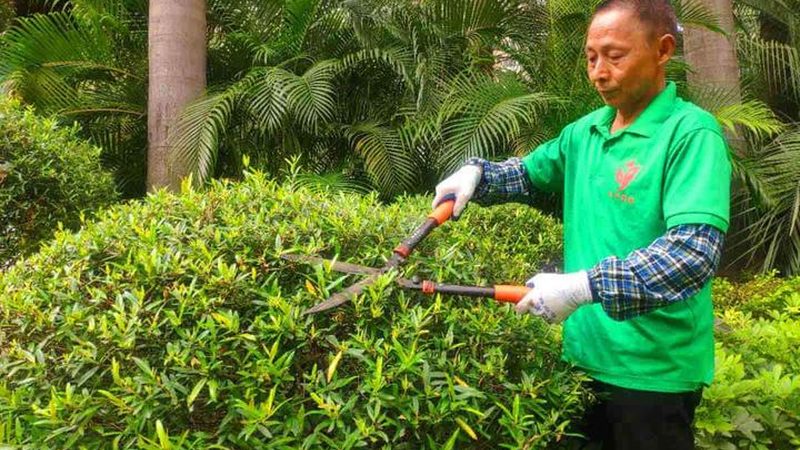 北京立体绿化报价单明细：揭秘立体绿化成本构成**