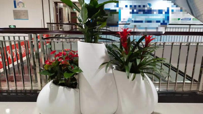 北京小区绿化灌木种植间距标准解析**