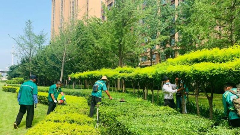 迷你庭院设计：打造私人绿色空间的秘密**